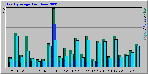 Hourly usage for June 2025